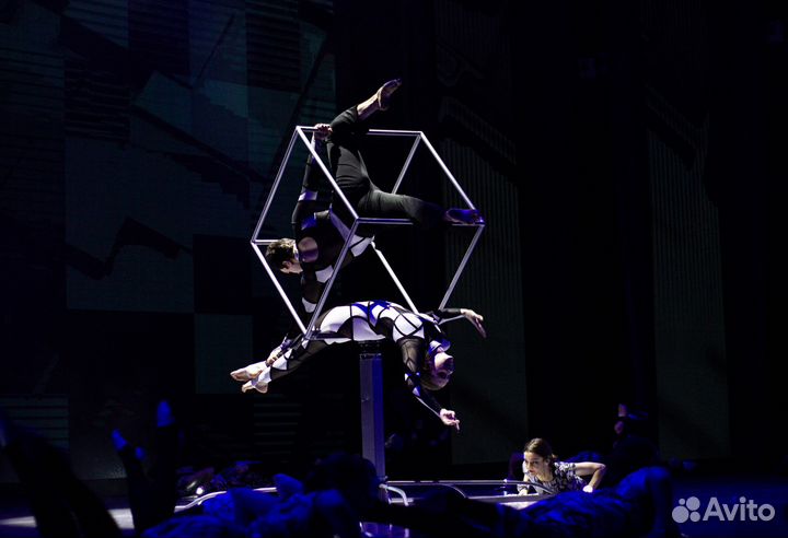 Воздушные гимнасты Артисты на праздник