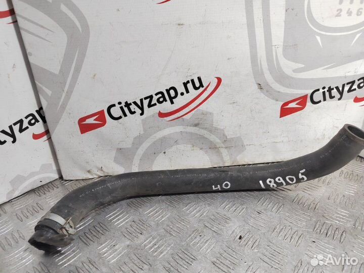 Патрубок радиатора Honda Accord CU2 K24A