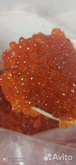 Икра Кеты
