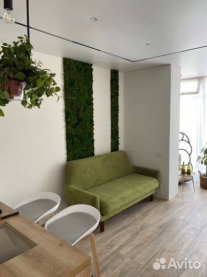 Стабилизированный мох