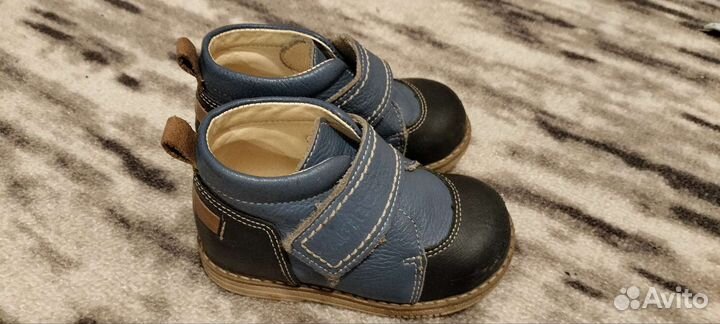 Полуботинки для мальчика tapiboo 22 кожа