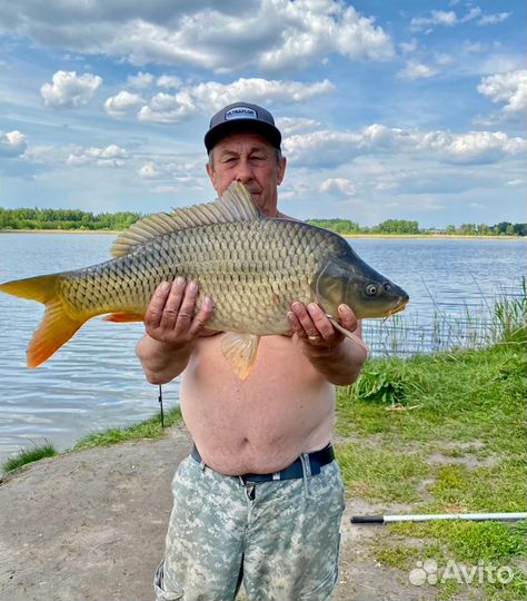 Pop up (поп ап) экструдированный