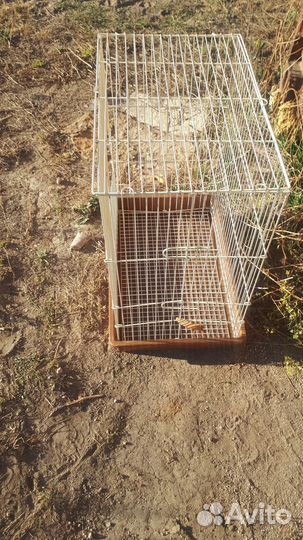 Клетка для животных бу