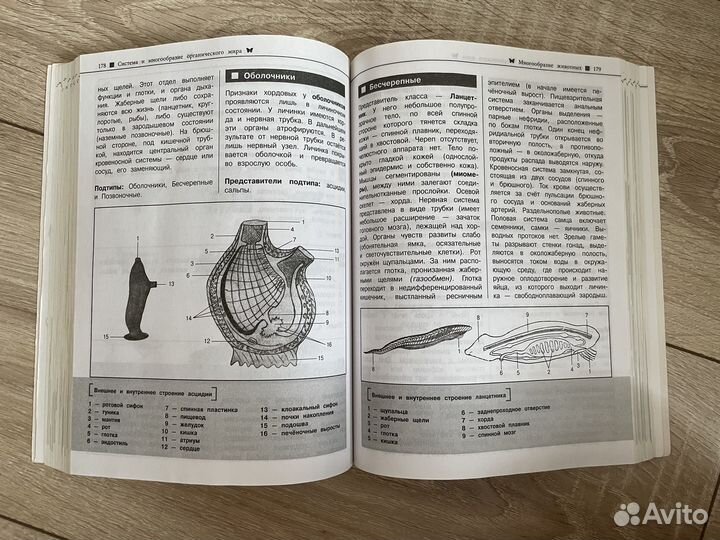 Справочник по биологии егэ, огэ