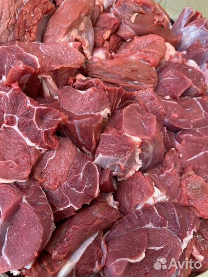 Мясо телятины