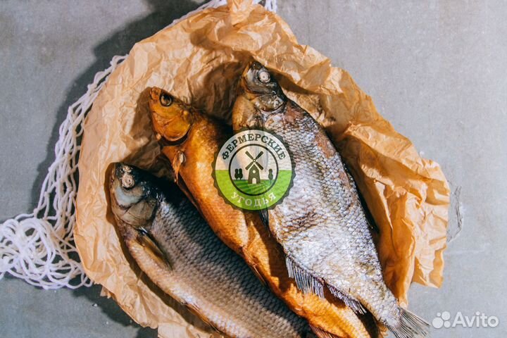 Рыба северная Язь Щука Щекур Мохтик Лещ Сырок