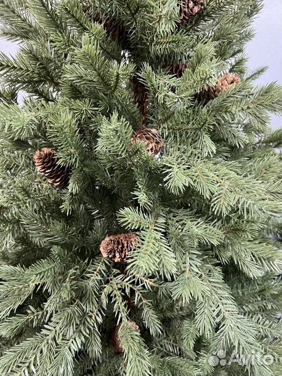 Ель Литая пышная