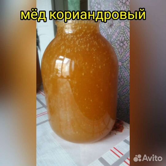 Мёд со своей пасеки