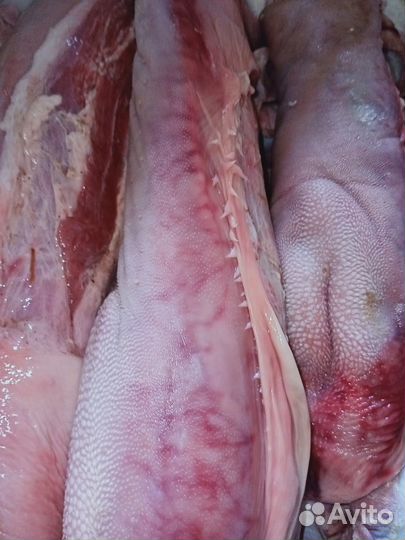 Корм/мясо/субпродукты для собак