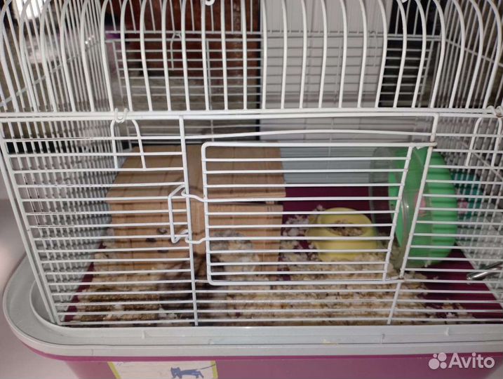 Клетка для хомяка