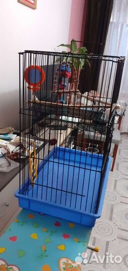 Клетка для попугаев и грызунов