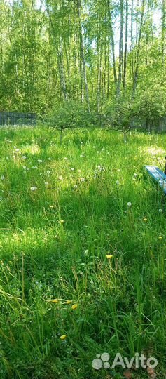 Покос травы триммером