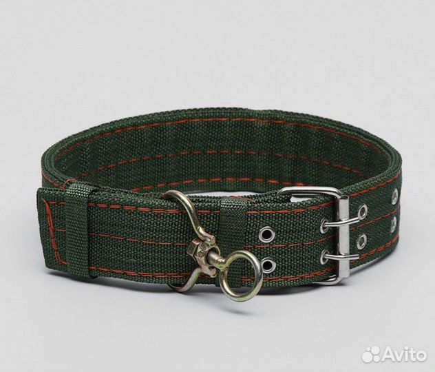 Ошейник для собак