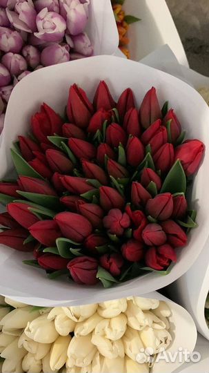 Букет тюльпанов