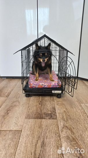 Клетка для собак и кошек