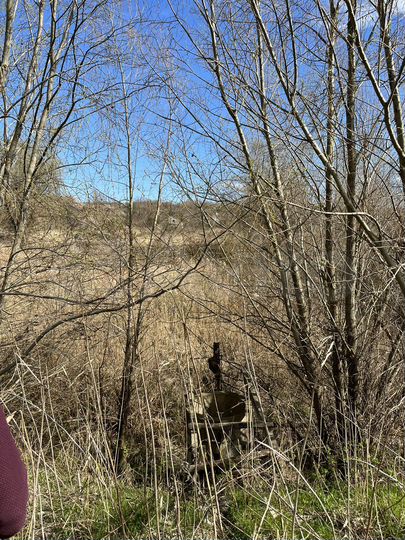 Участок 20 га (СНТ, ДНП)