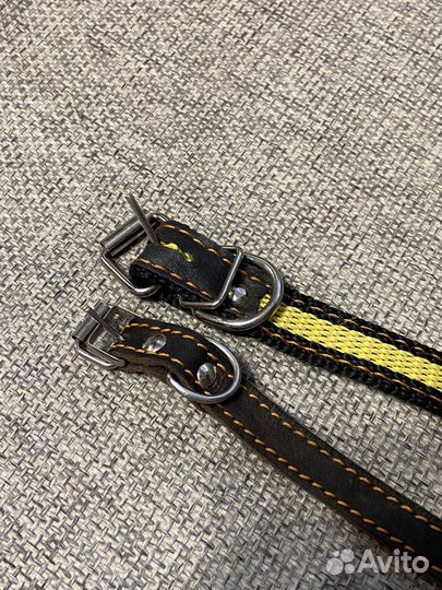 Ошейник для собак