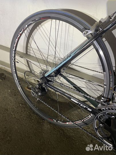 Шоссейный Велосипед Bianchi Sempre PRO