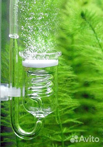 Со2 диффузор. Мембрана. Тест. Декорация. Коряга