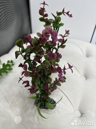 Грот и водоросли в аквариум