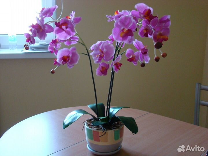 Цветок орхидея (искусств.)