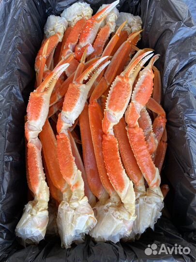 Клешни краба стригуна / дальневосточный краб