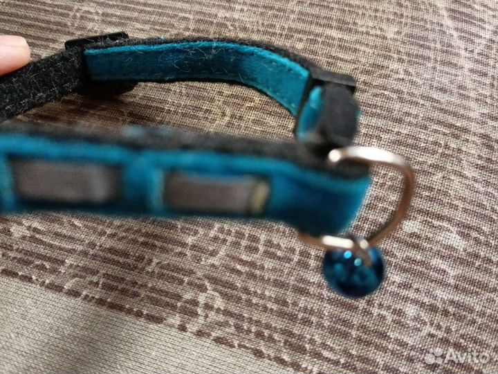 Ошейник для кошек или мелких собак