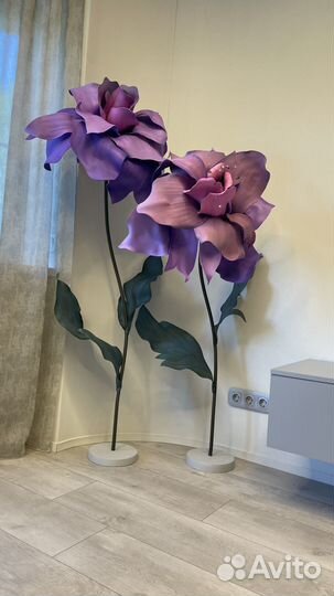 Ростовые цветы