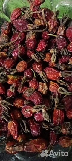 Семена шиповника