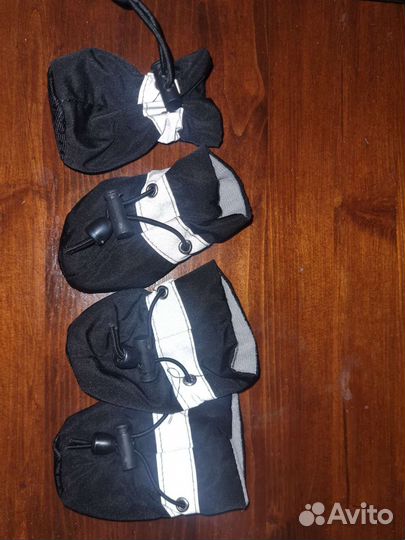 Обувь для собак