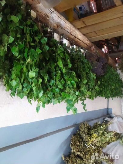 Веники для бани берёзовые. Душица. Матрешка