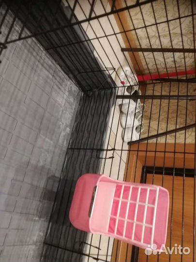 Клетка для грызунов большая