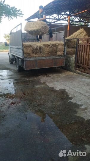 Сено в тюках