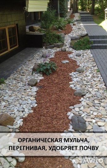 Кора лиственницы