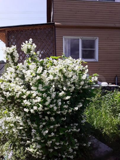 Дом 79 м² на участке 6 сот.