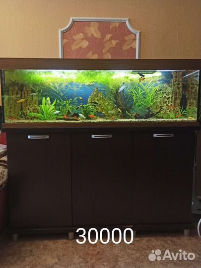 Аквариум