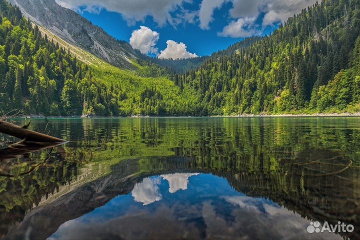 Экскурсии в абхазию (малое кольцо)