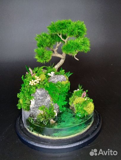 Моссариум, флорариум, подарки