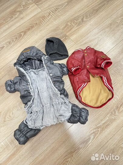 Одежда для собак и кошек