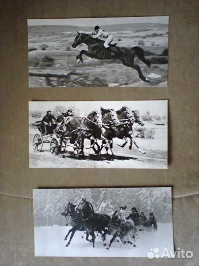 Набор фотографий