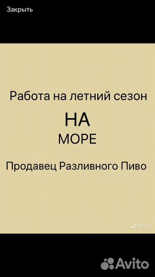 Продавец разливного пива с ежедневной оплатой