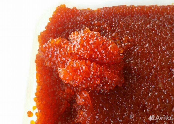 Красная икра август 2023 оптом и мелким оптом