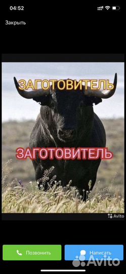 Собачий корм