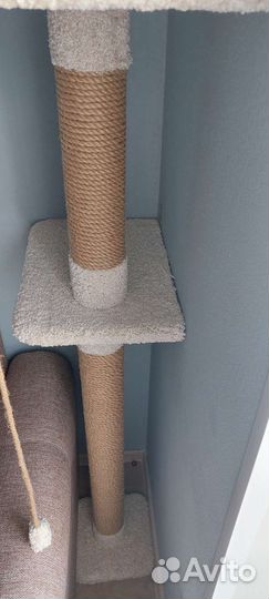 Когтеточка домик для кошки бу