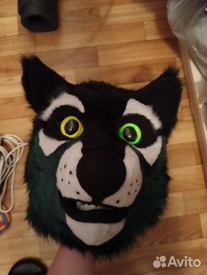 Фурсьют собаки