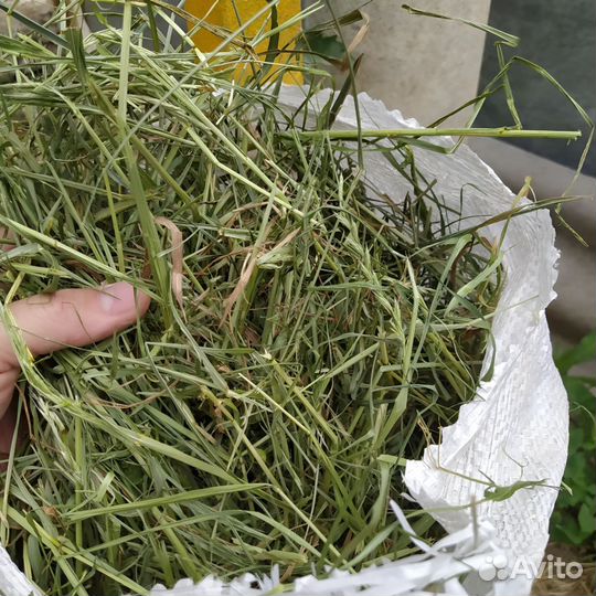 Сено луговое