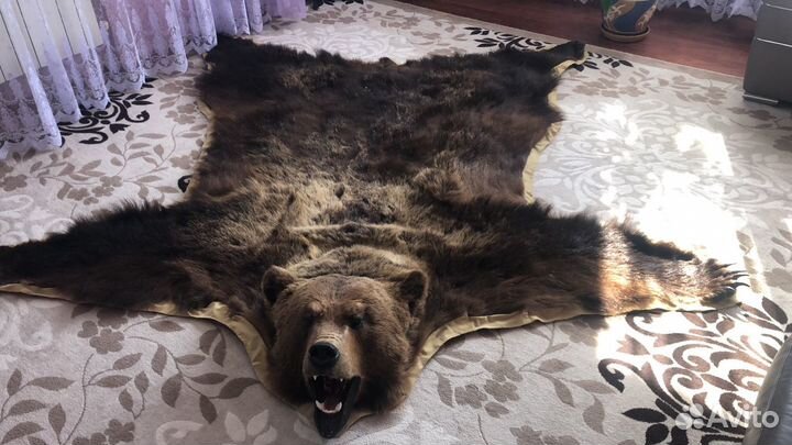 Шкура медведя искуственная