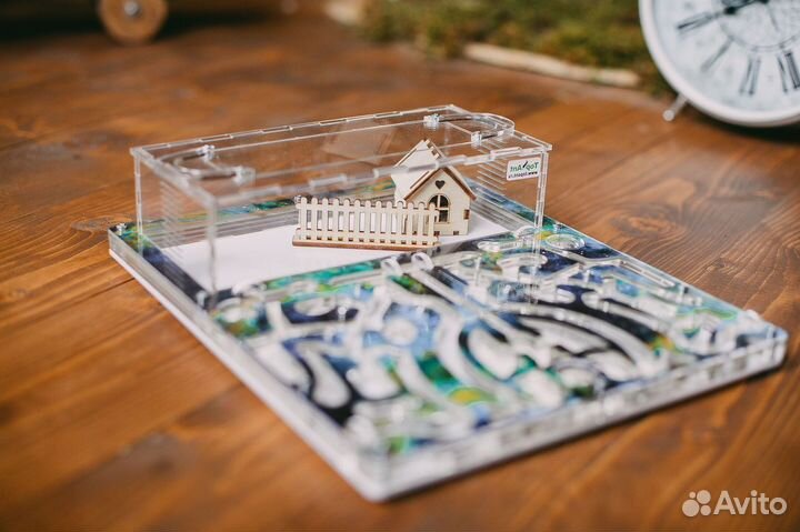 Формикарий/ Подарок для ребенка/ Муравьиная ферма