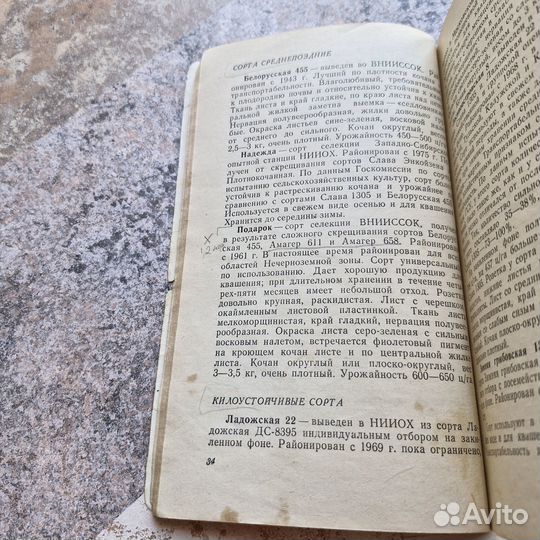 Капуста. Китаева. 1977 г