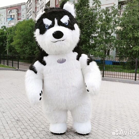 Хаски, надувной костюм